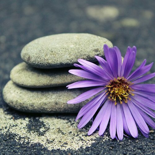 Transcending Past Pain: A Guided Meditation for Healing Old Traumas and Emotional Wounds with all 15 Archangels help